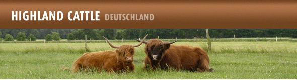 Banner - Highland Cattle Deutschland