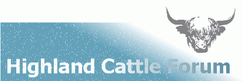 Banner - Highland Cattle Forum